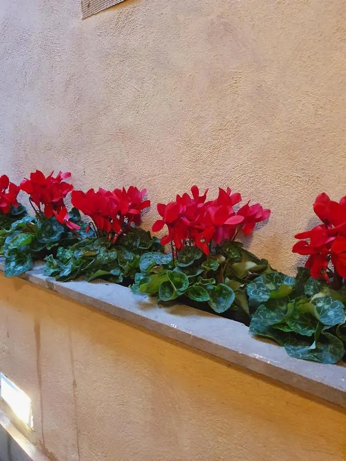 Vicolo Navona Apartment Rome